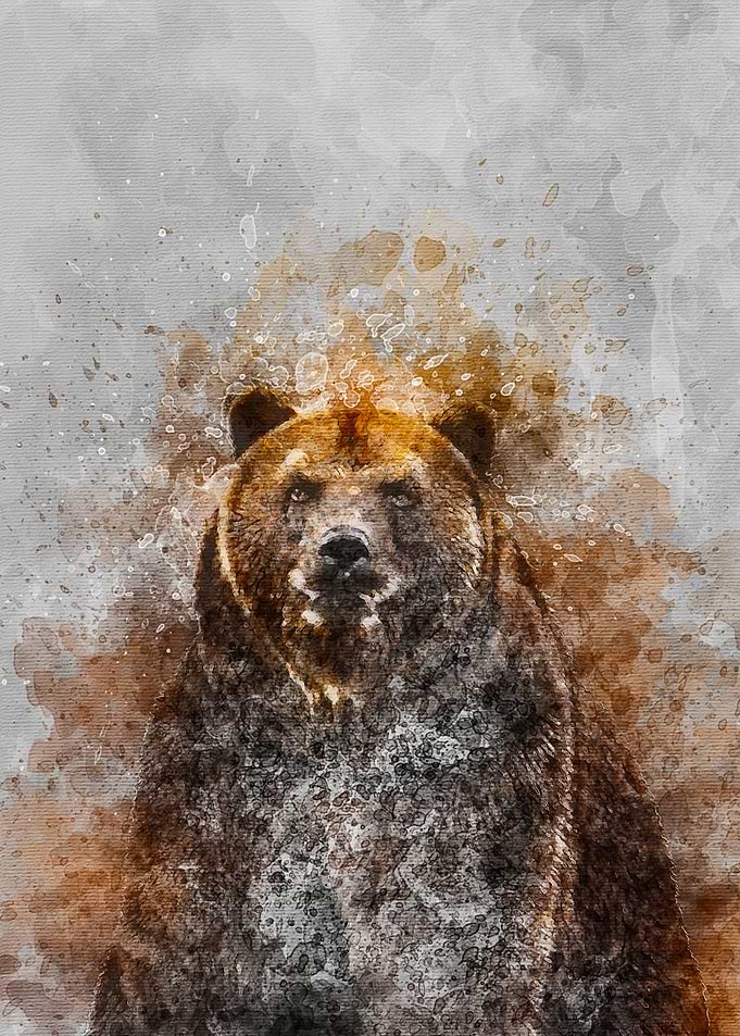Bear