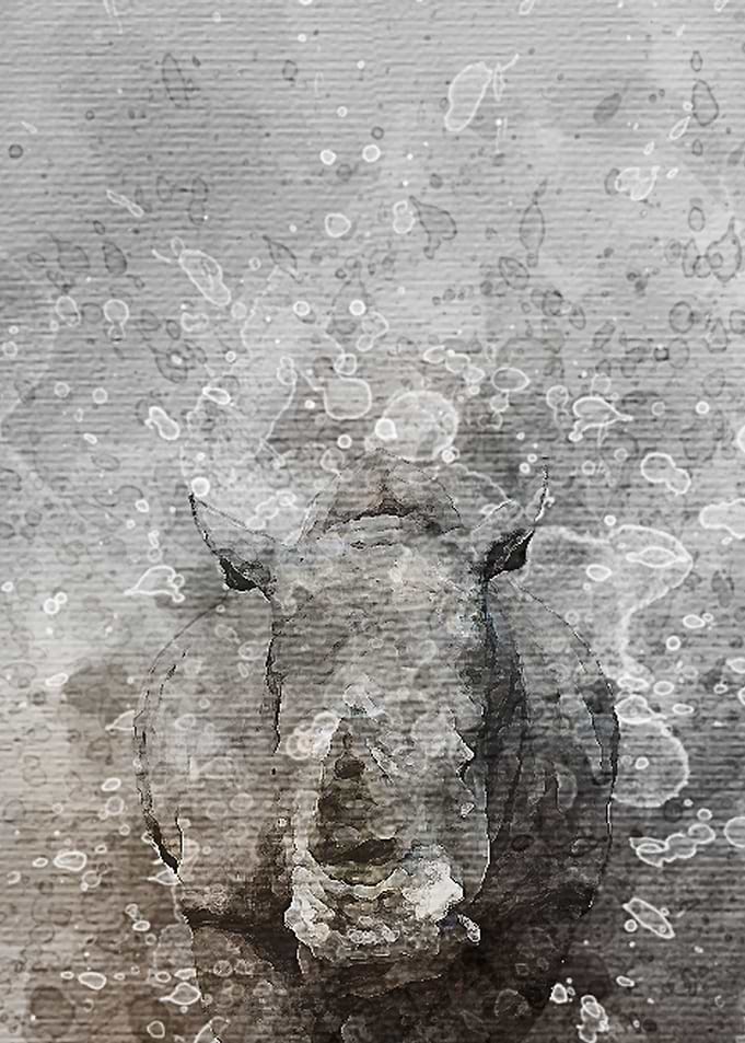 Rhino