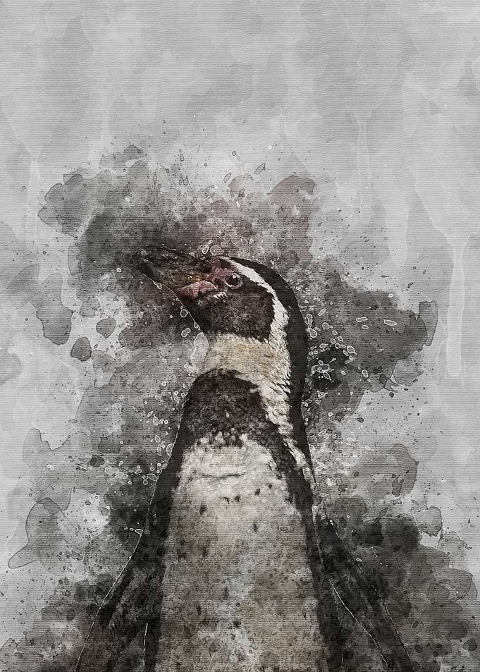 Penguin