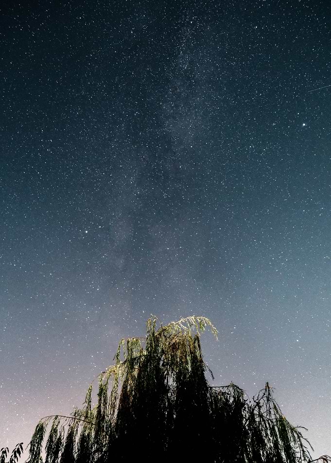 My Backyard