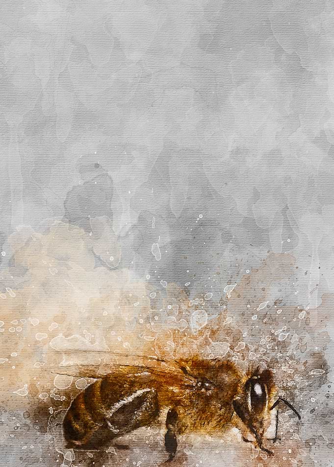 Bee