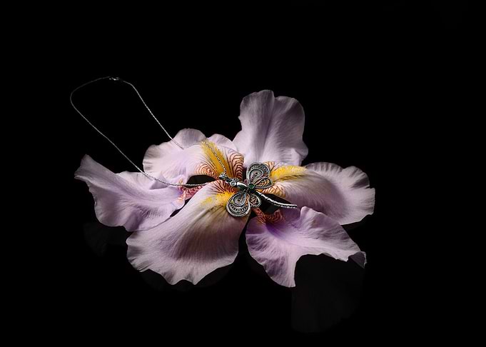 A white gold dragonfly