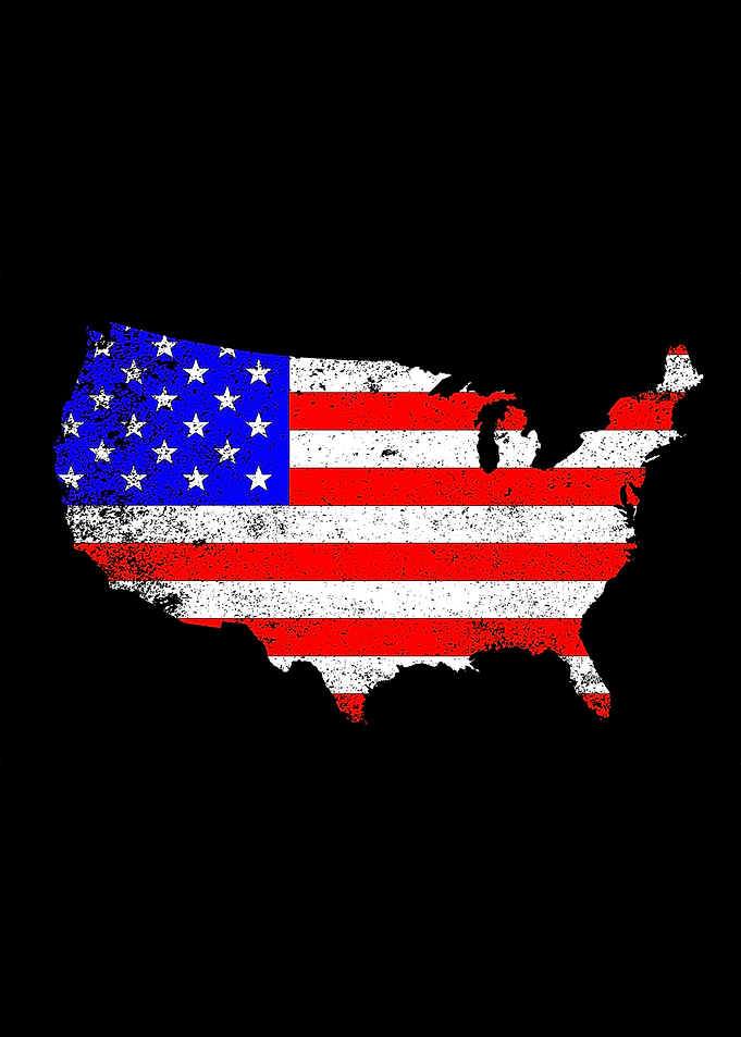 USA Outline and Flag