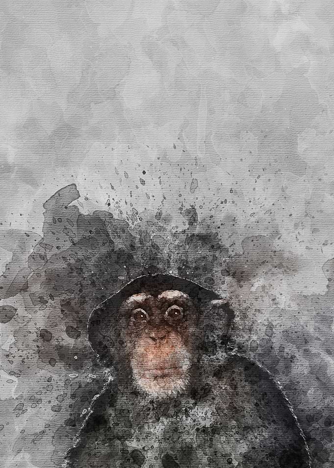 Ape