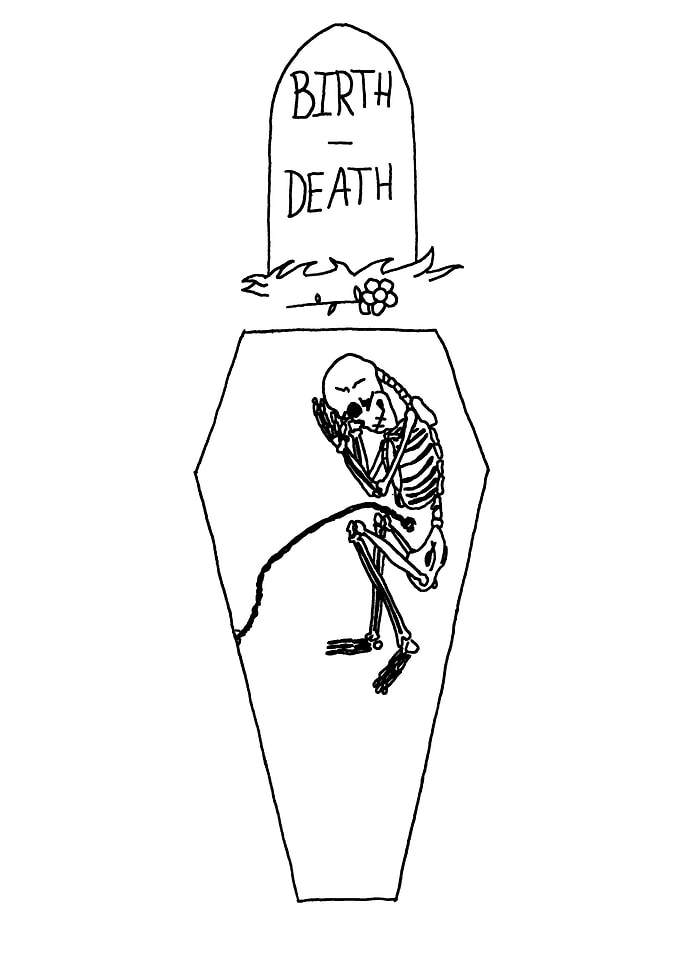 BIRTH DEATH