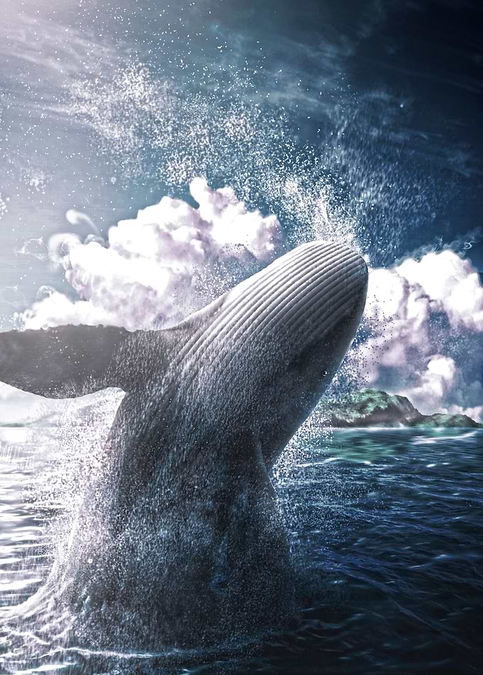 Ballena