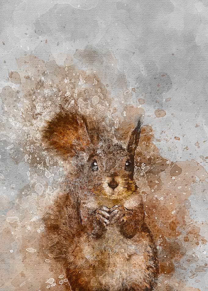 Squirrel