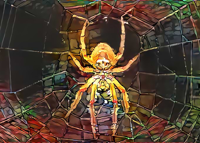 Insect