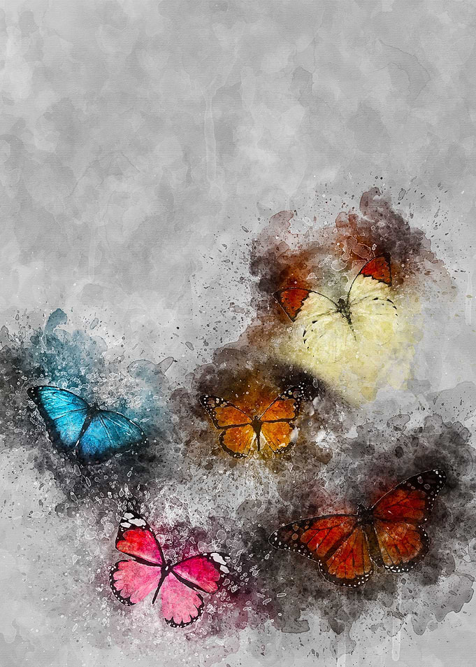 Butterflies