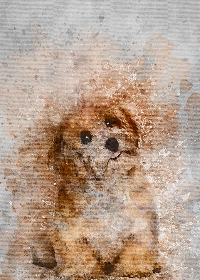 A Puppy Dog