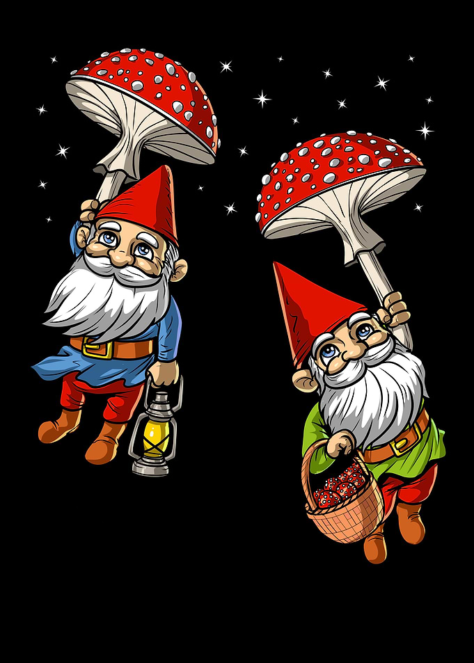 Forest Mushrooms Gnomes