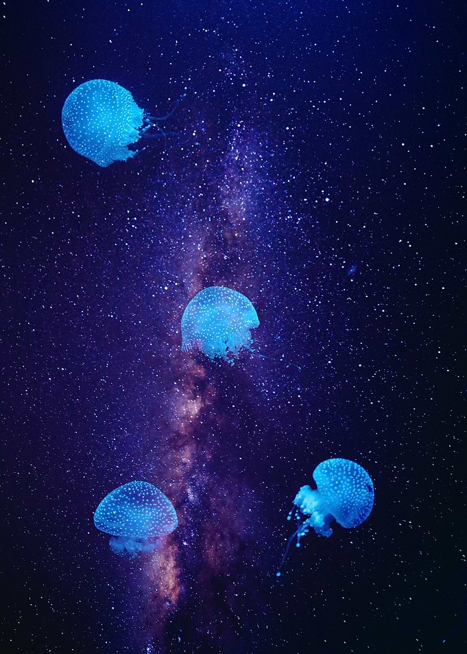 There is space everywhere