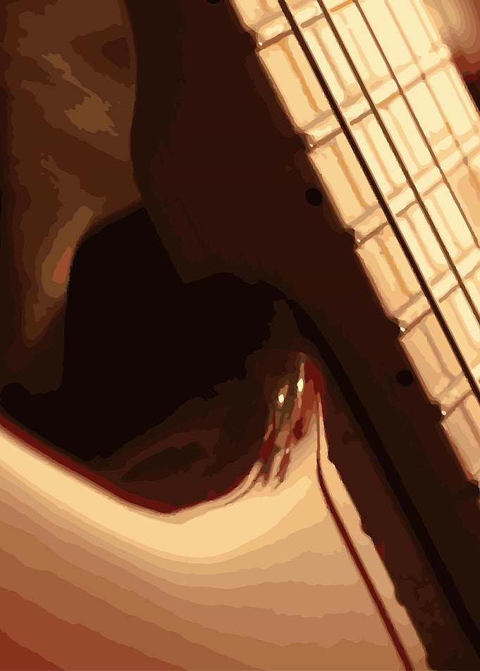 Guitar