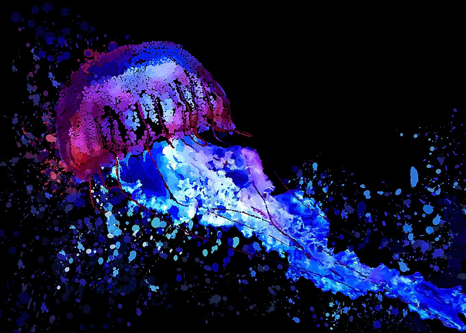 Under the Sea