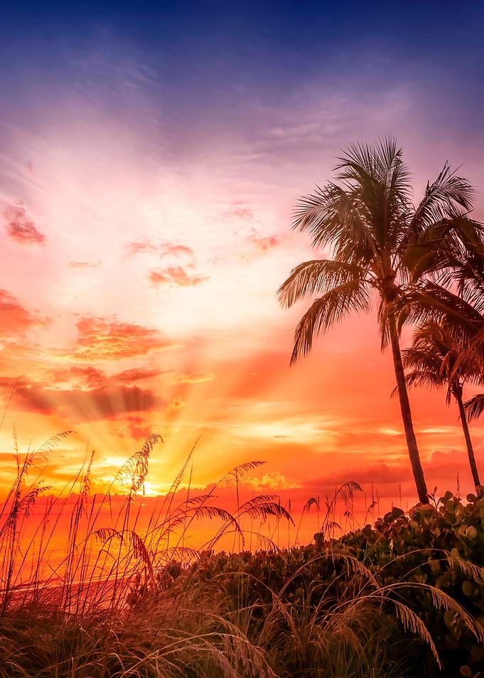 Picturesque Sunset