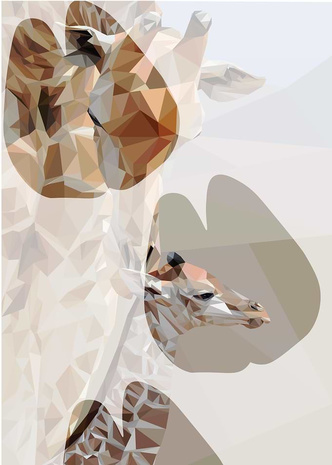 Hooved Giraffes