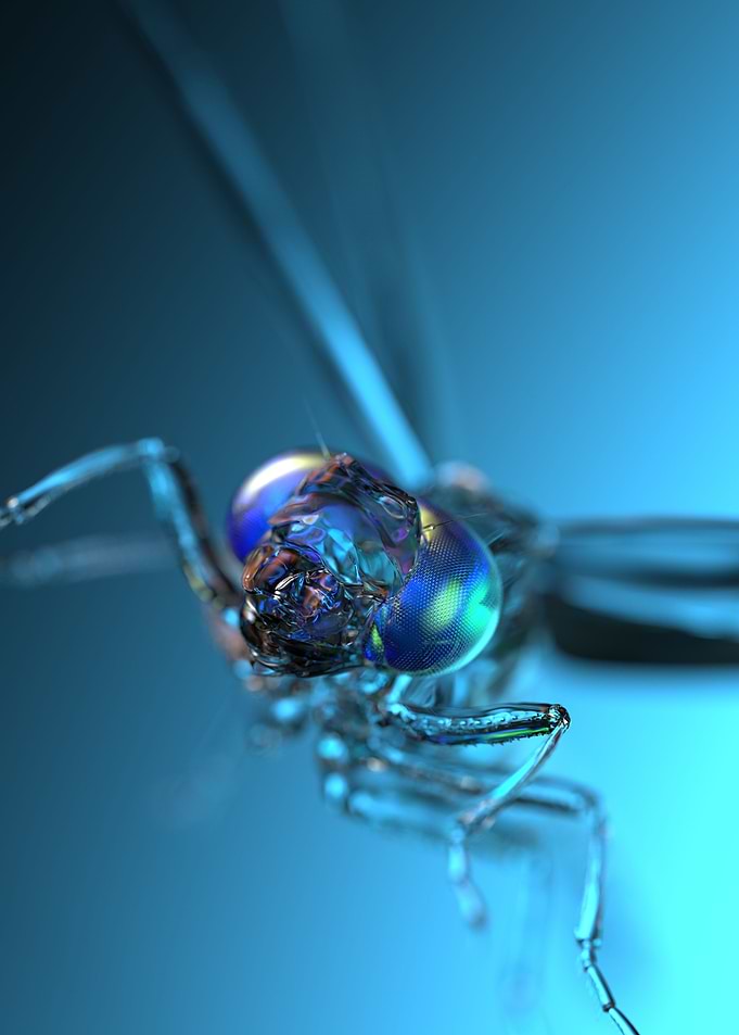 Blue dragonfly