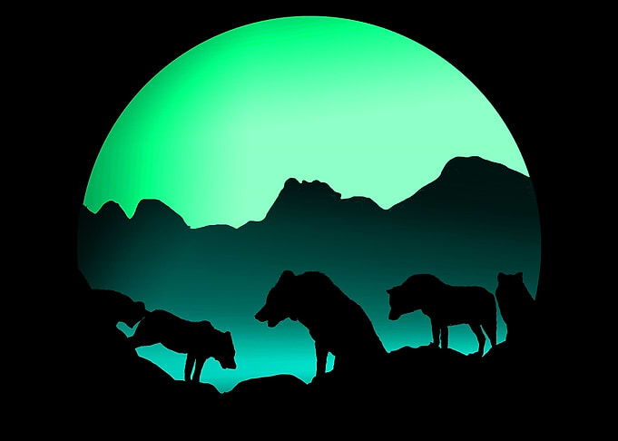 The Wolves