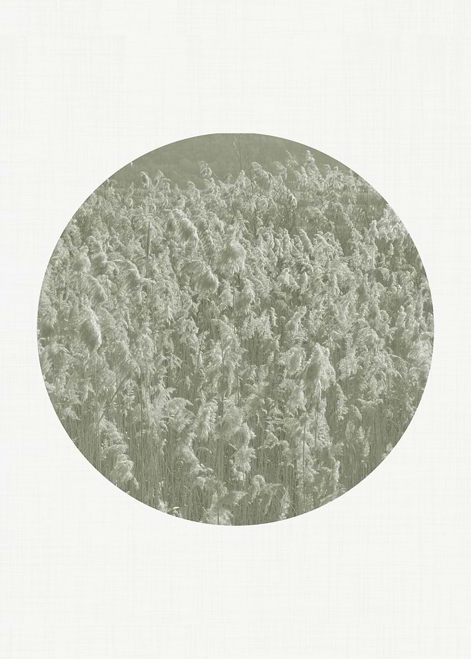 Circular Landscape Reeds