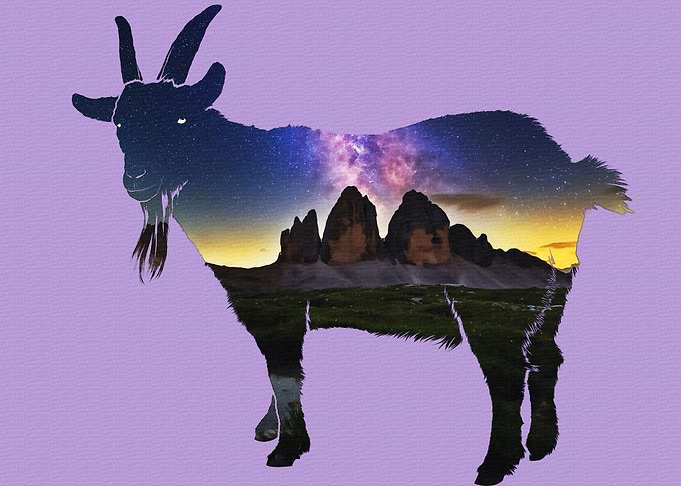 Goats with a sky desert