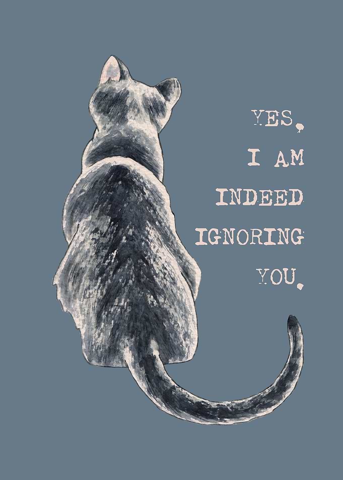 Cat Freedom