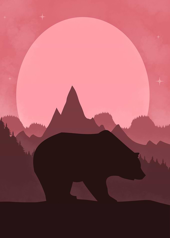 Bear in the Woods