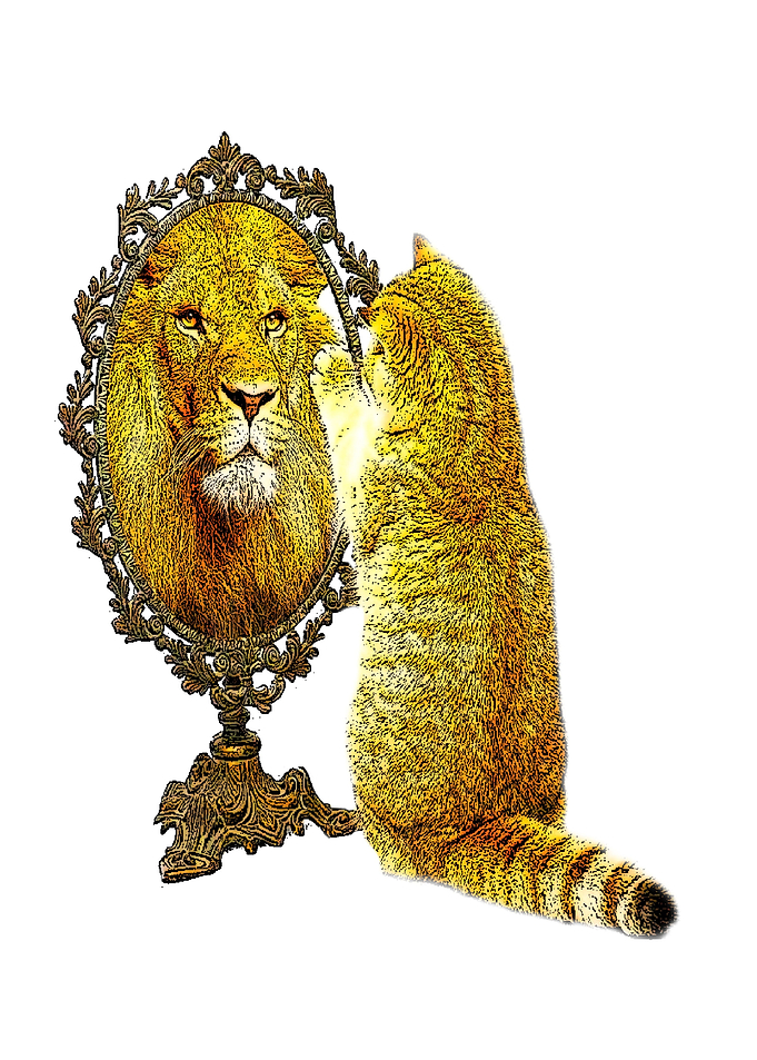 CAT in the Mirror