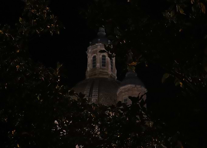 Tower through the trees