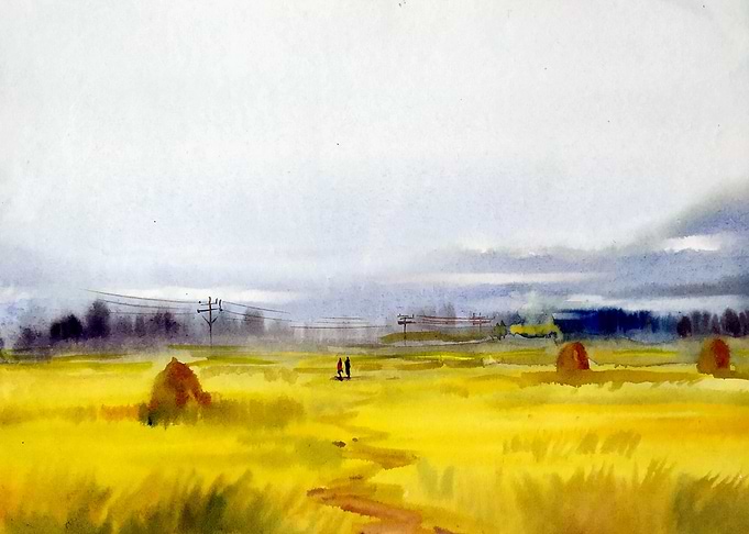 Mountain Cornfield