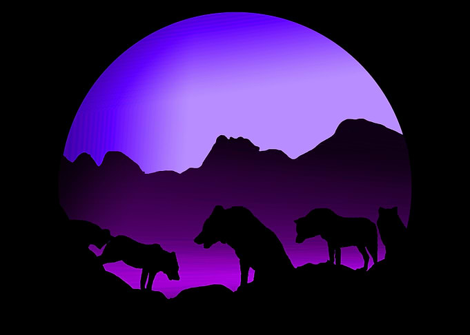 Wolf and Moonlights