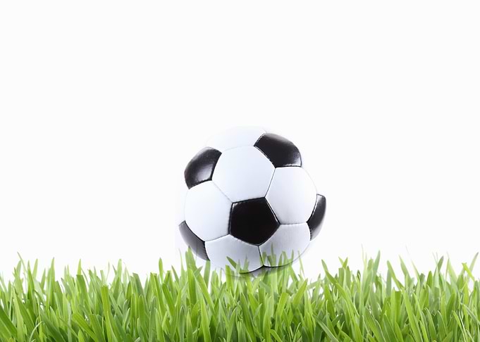 soccer ball on the grass
