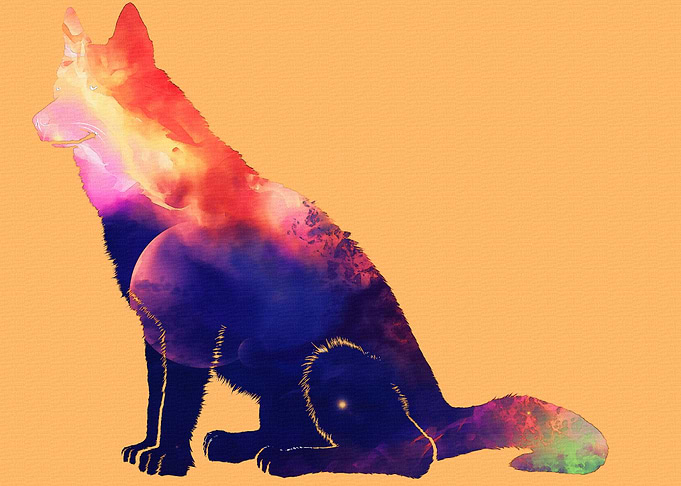 dog with a galactic nebula