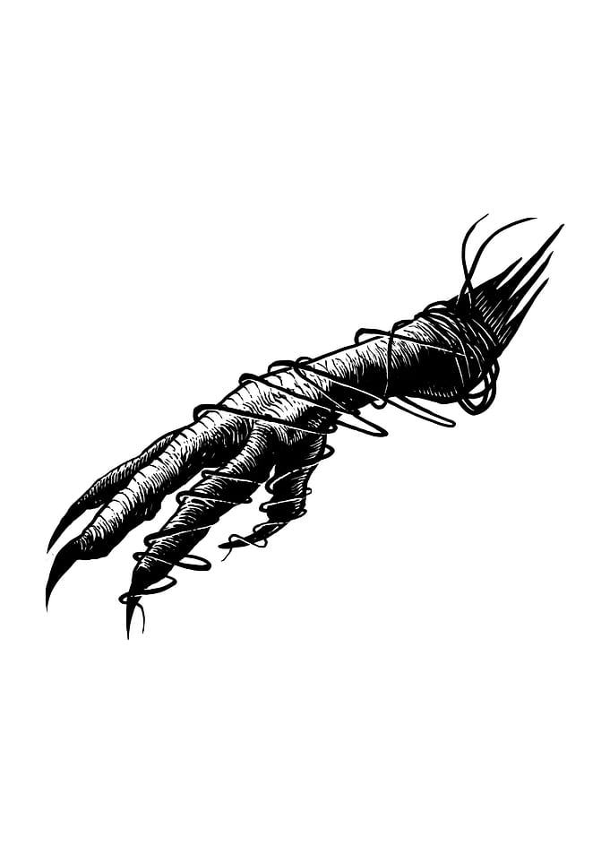 Chicken feet