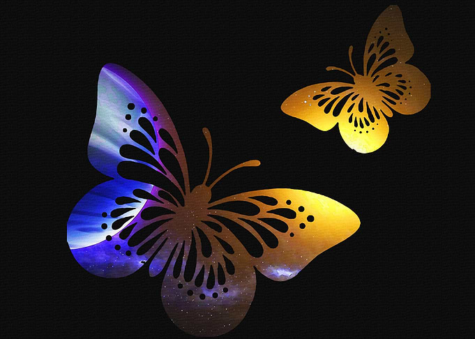 Butterfly into the sky
