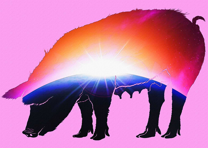 Pig with sunrise
