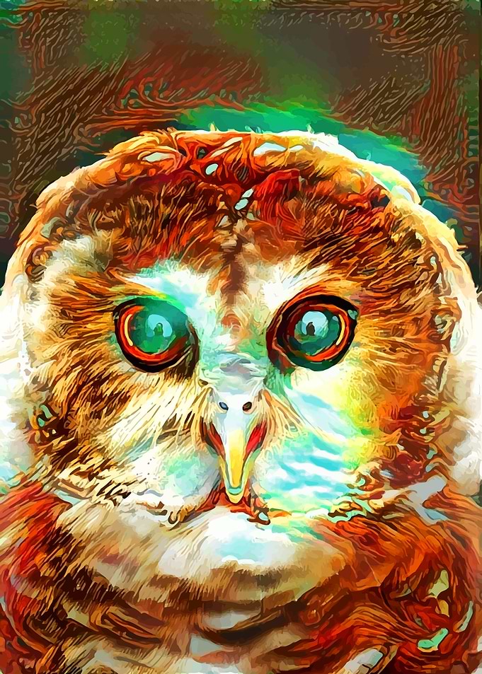 The Brown Owl
