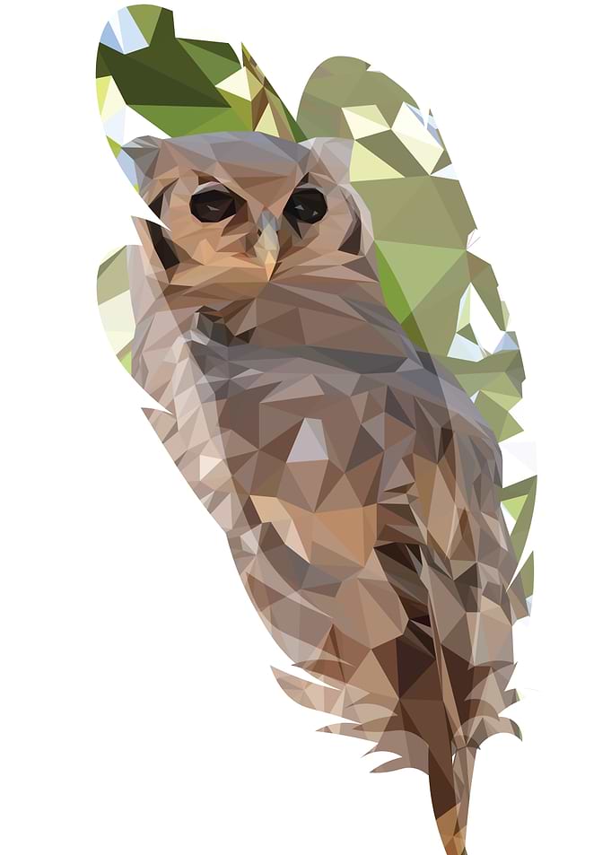 Owl Feathering