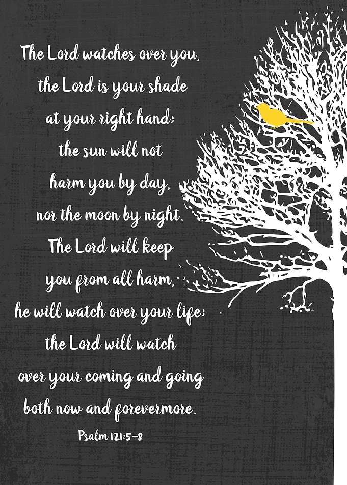 Baptism tree bible verse