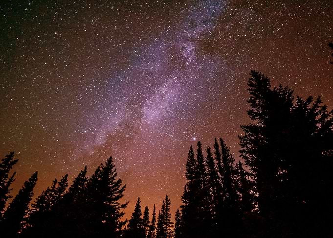 Space Trees