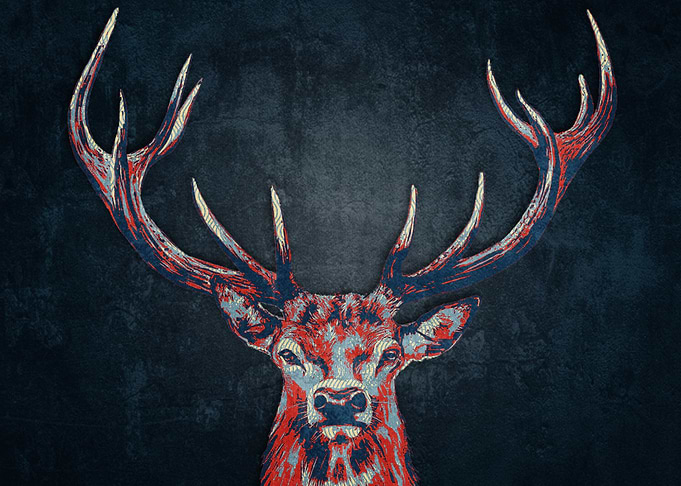pet Deer