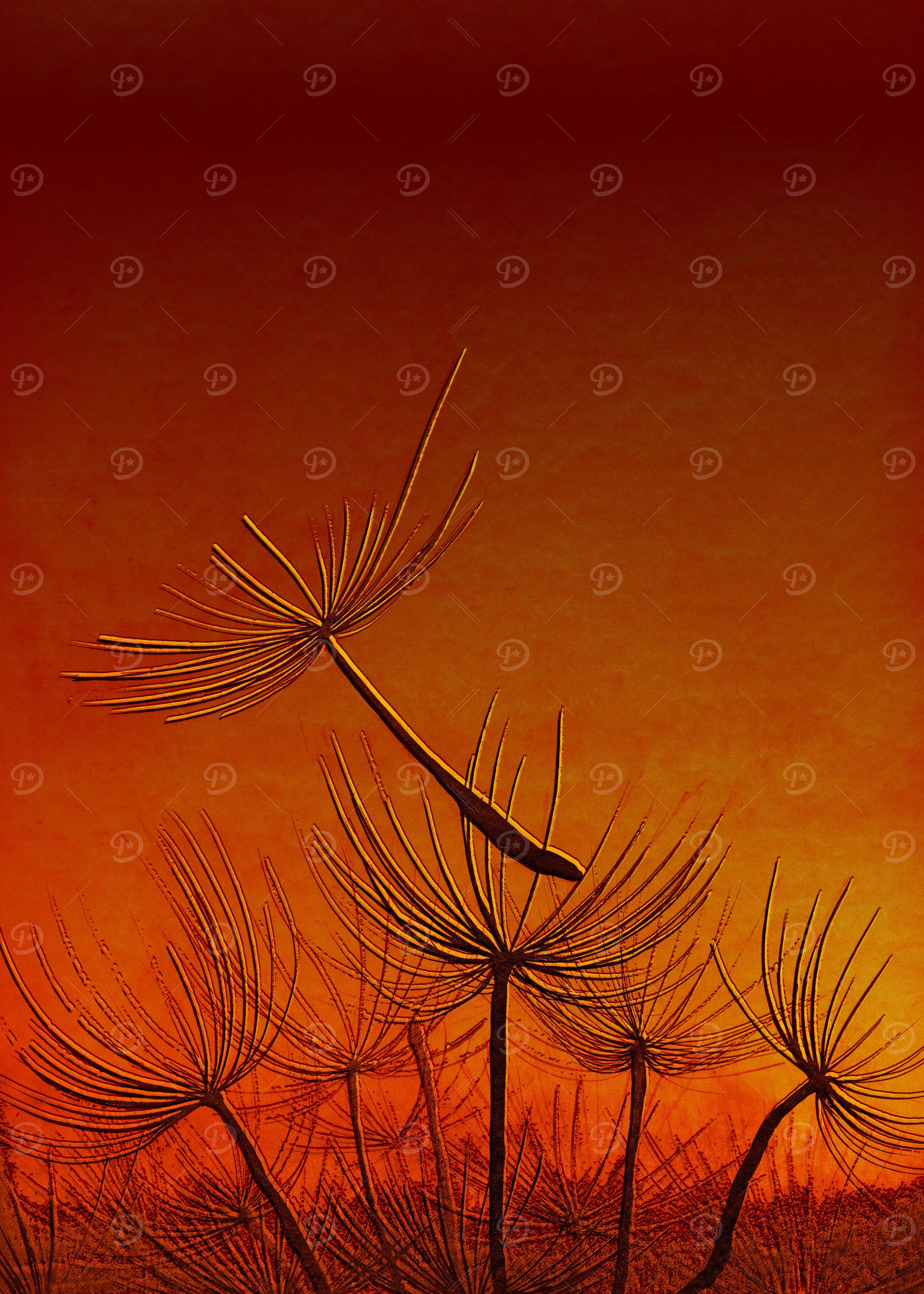 Red Wind
