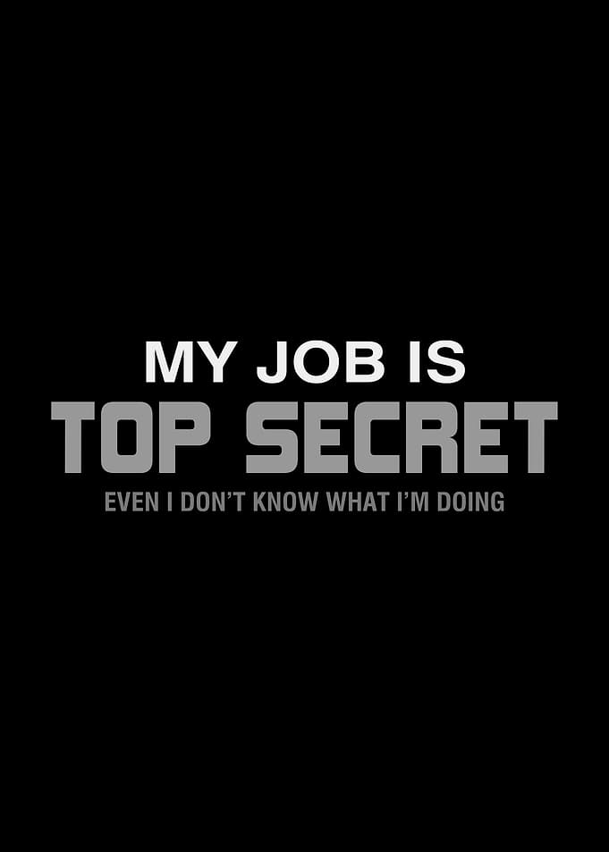 My Job is Top Secret