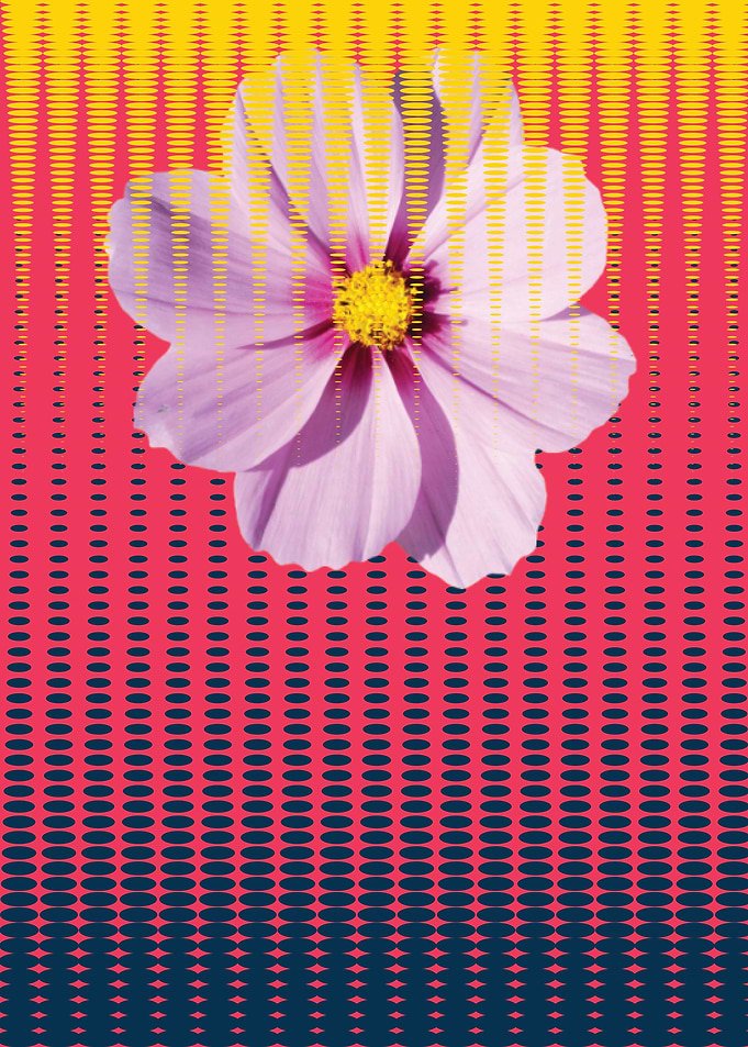 flower1