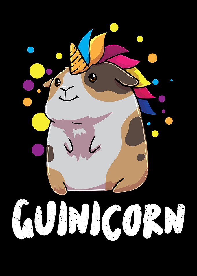 Guinea Pig