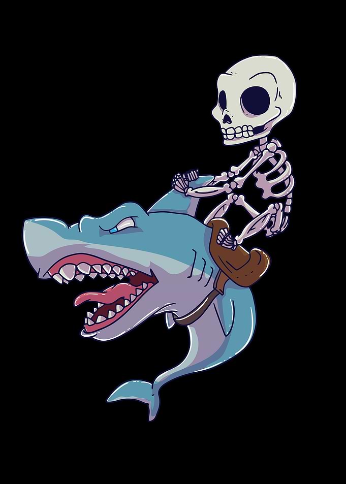 Shark Skeleton