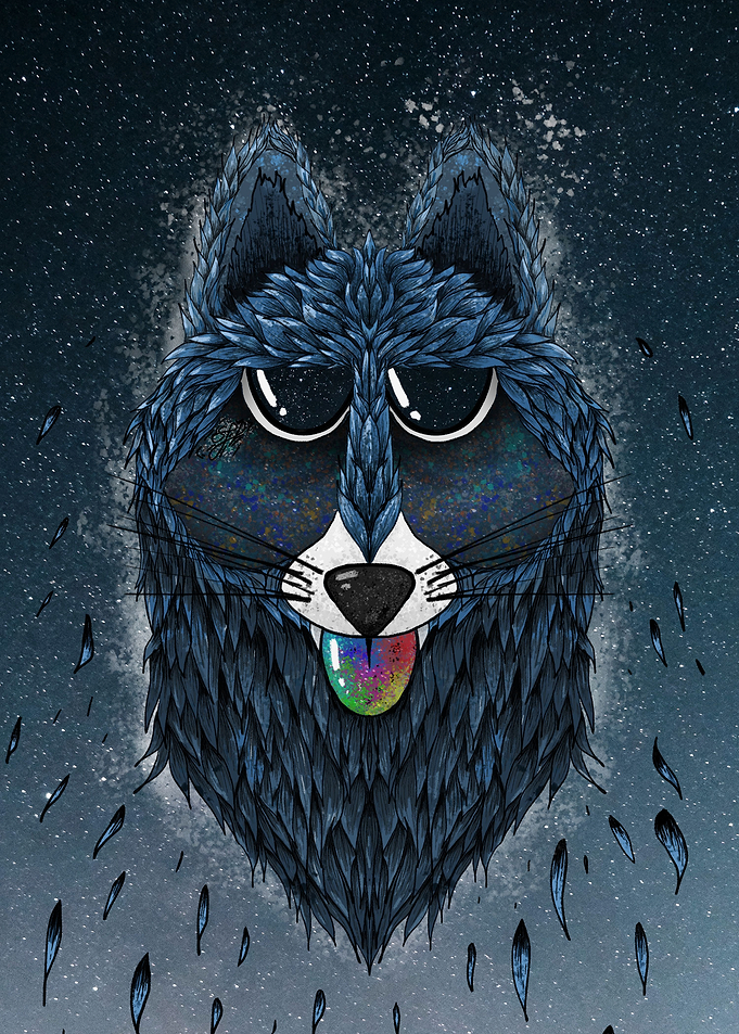 The Raccoon