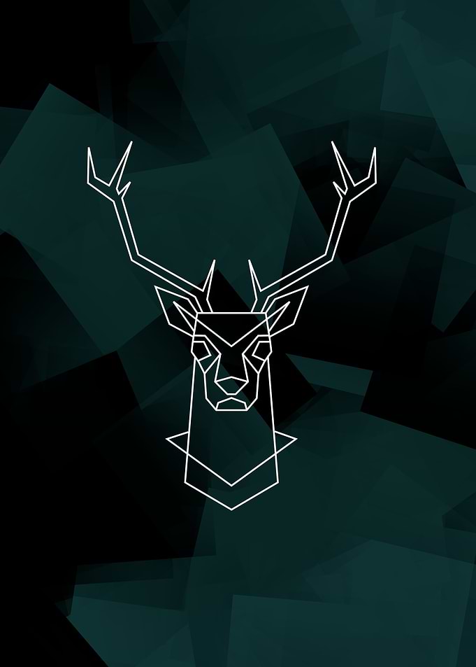 Whitetail deer
