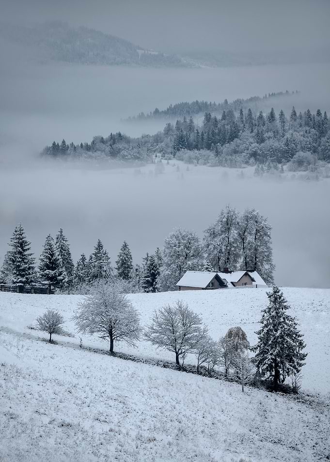 The first snow