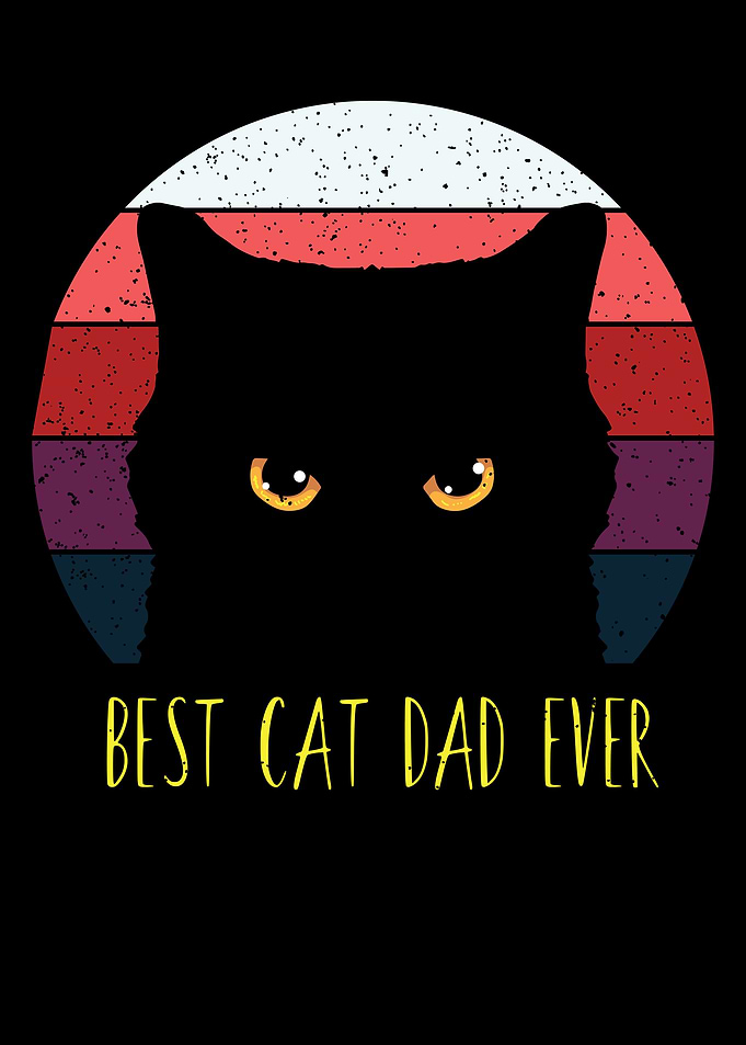 Black Cat