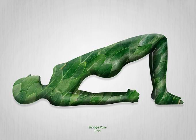 bridge pose yoga